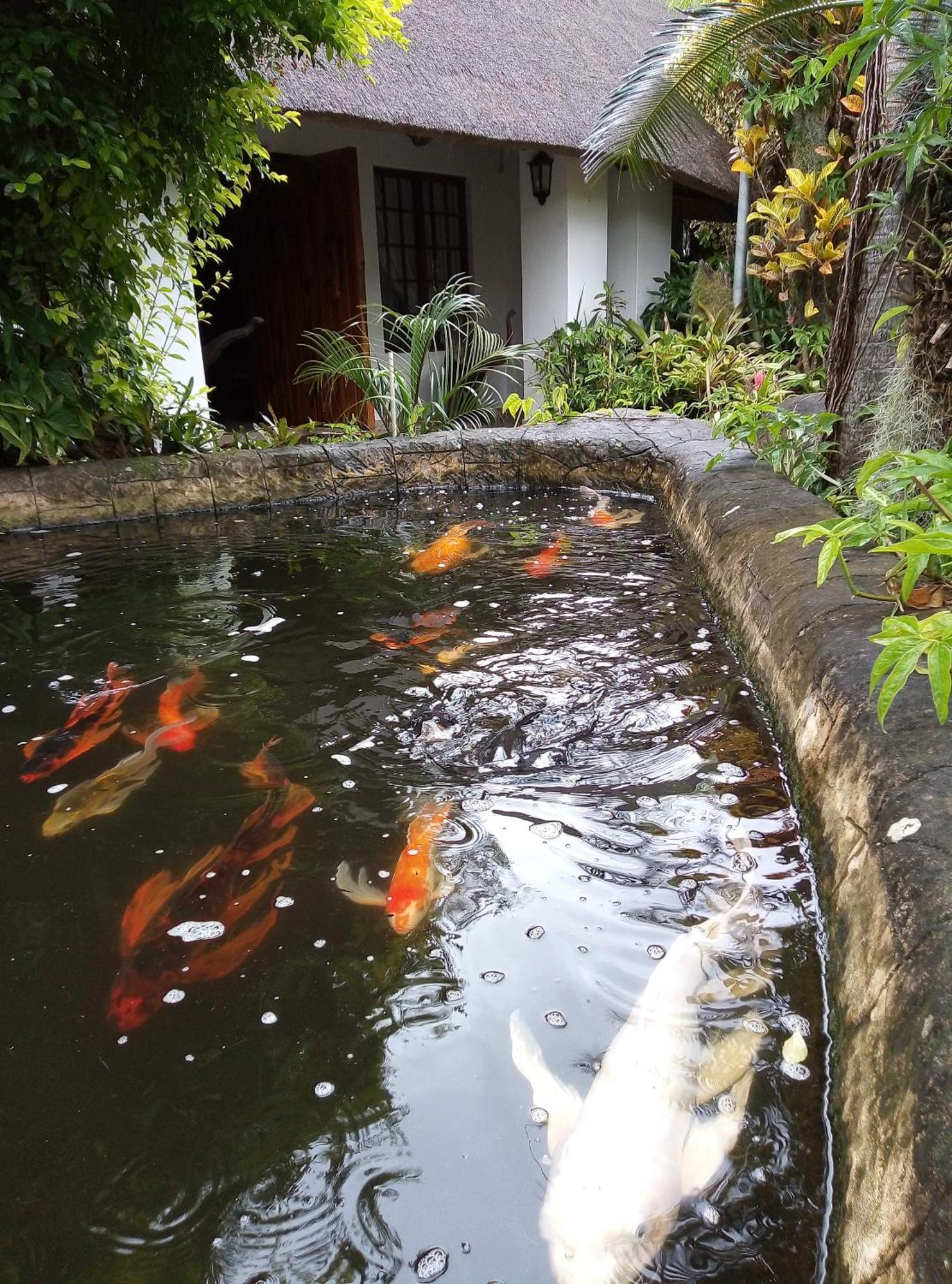 Saint Lucia Estuary African Ambience Guest House מראה חיצוני תמונה