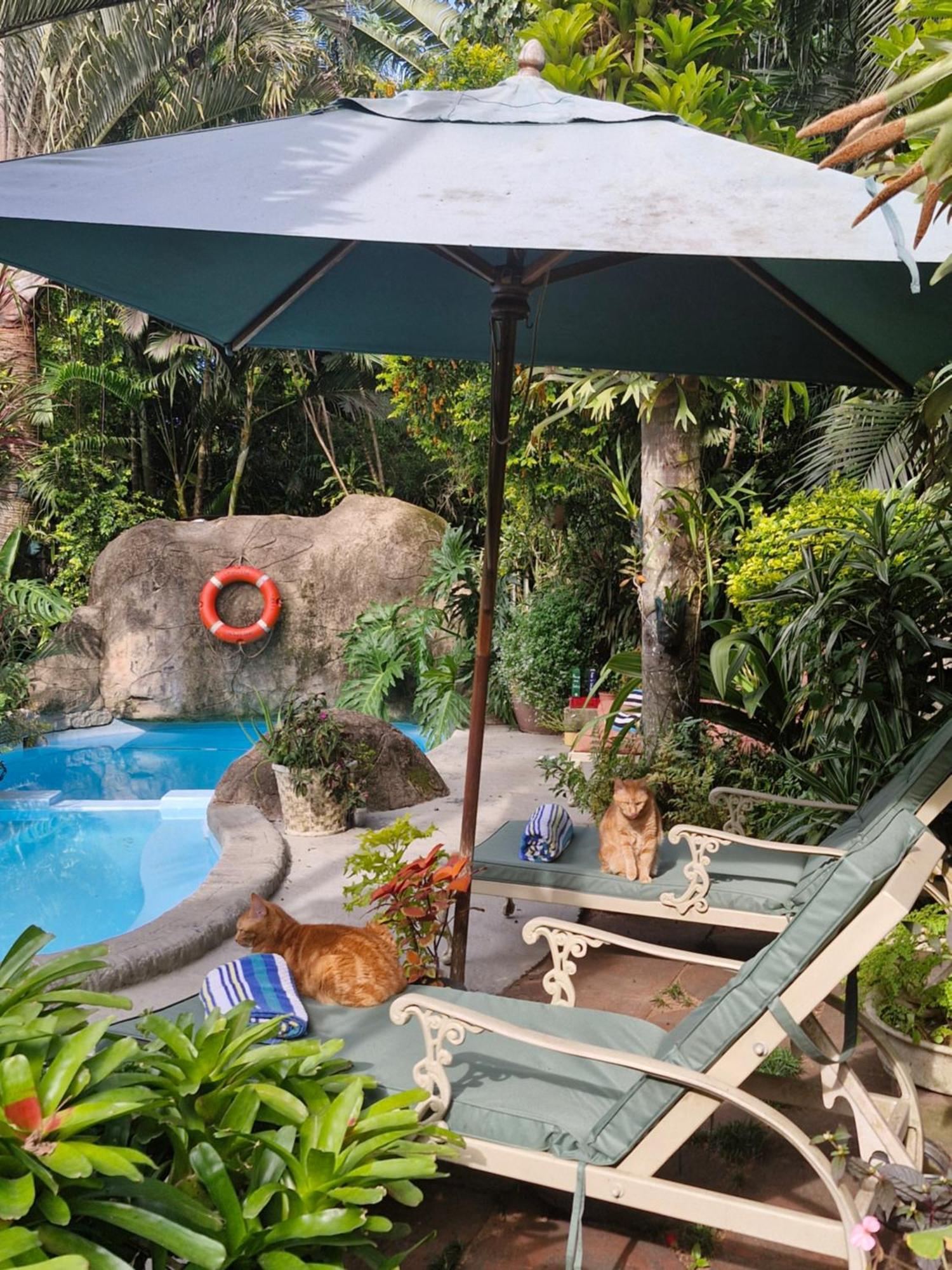 Saint Lucia Estuary African Ambience Guest House מראה חיצוני תמונה