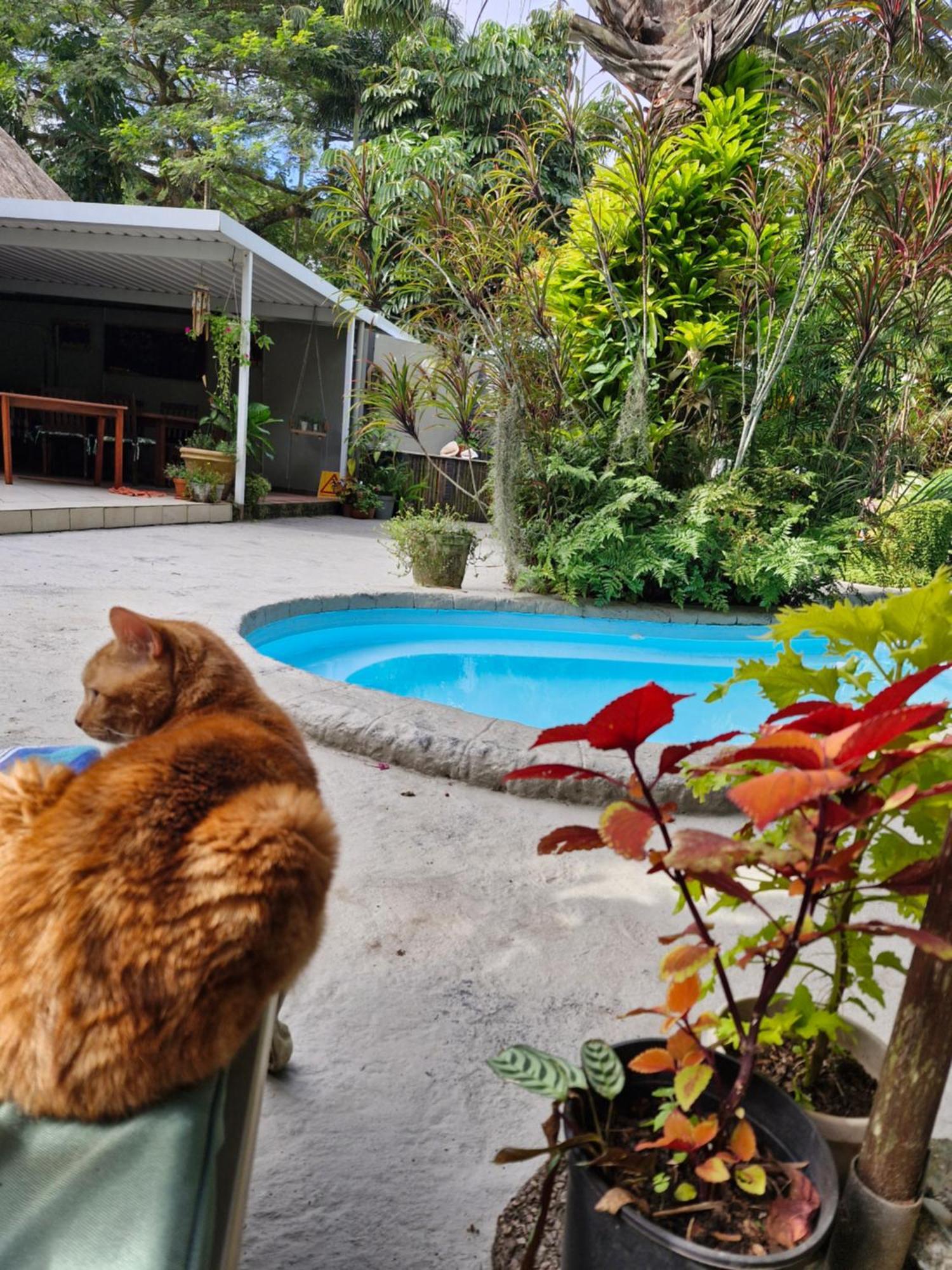 Saint Lucia Estuary African Ambience Guest House מראה חיצוני תמונה