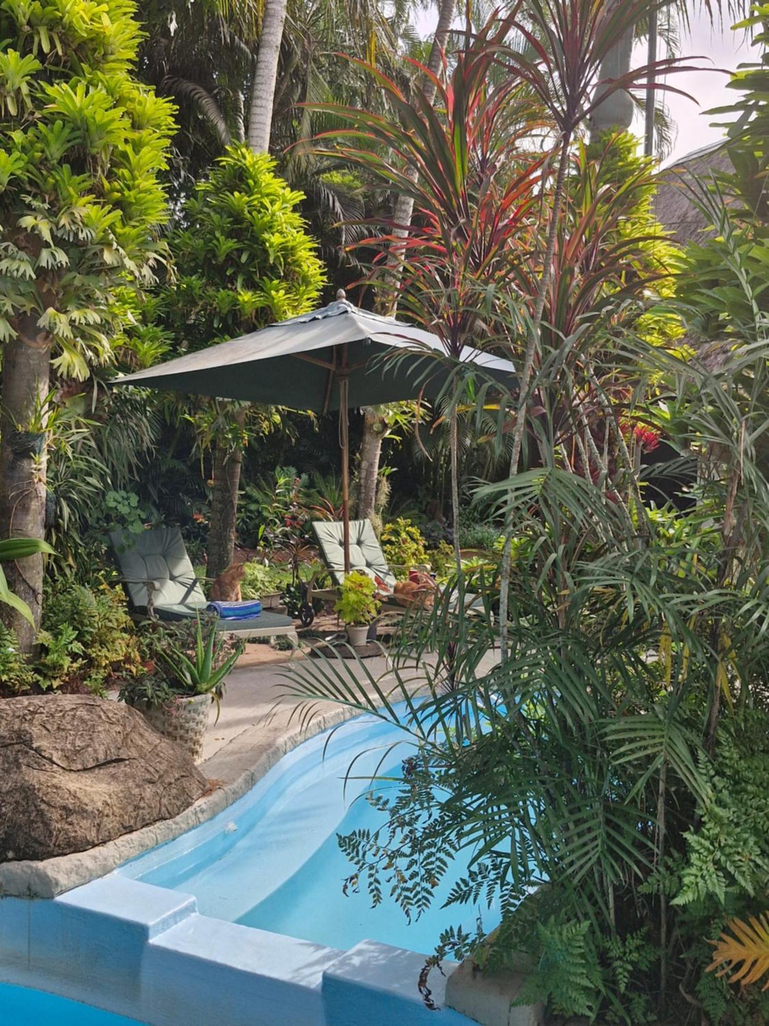 Saint Lucia Estuary African Ambience Guest House מראה חיצוני תמונה