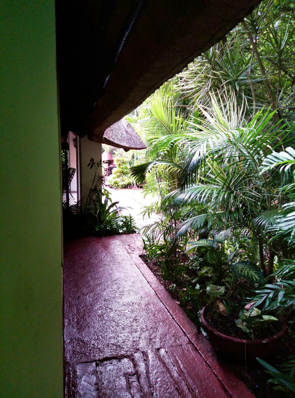 Saint Lucia Estuary African Ambience Guest House מראה חיצוני תמונה